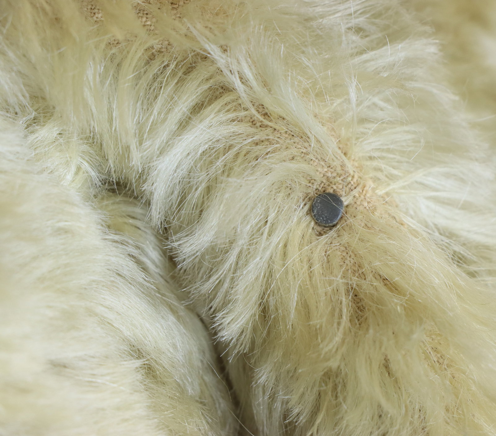 Steiff Teddy Bear - 10