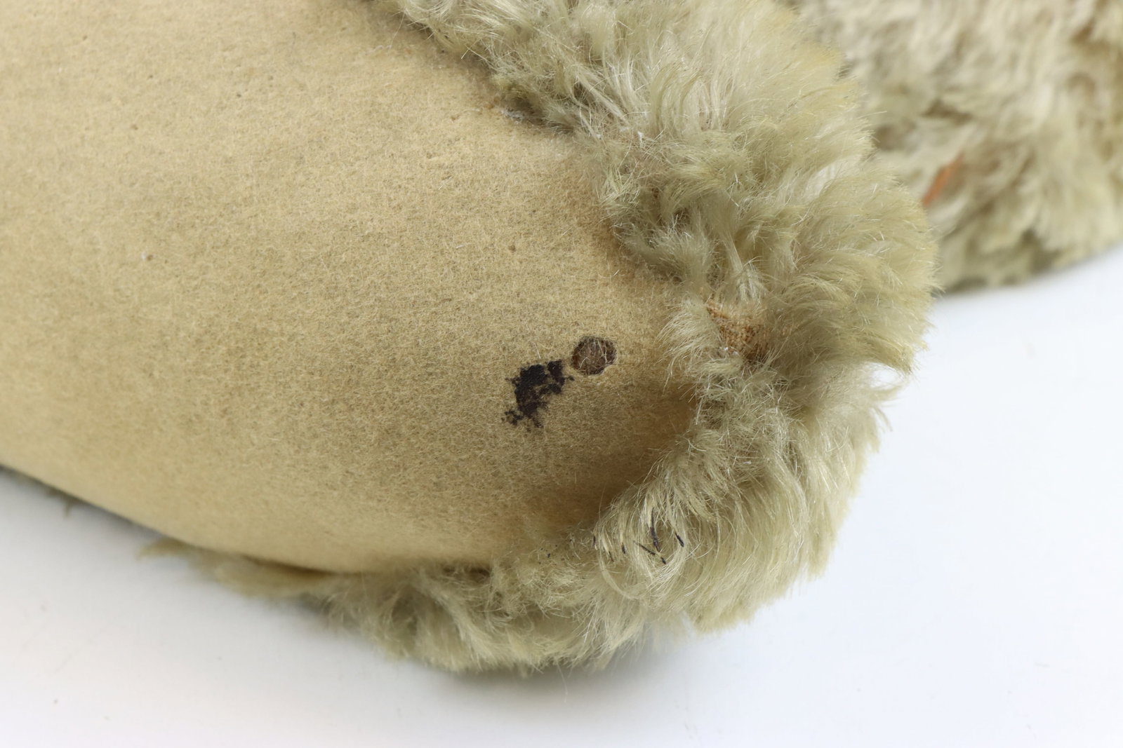 Steiff Teddy Bear - 6