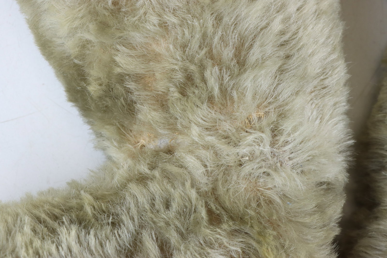 Steiff Teddy Bear - 7