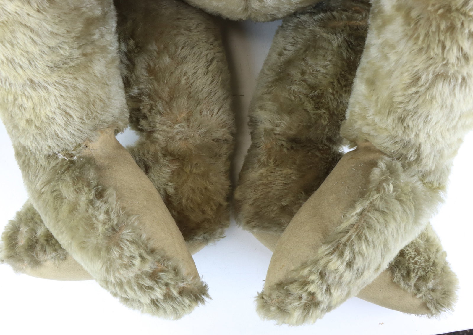 Steiff Teddy Bear - 8