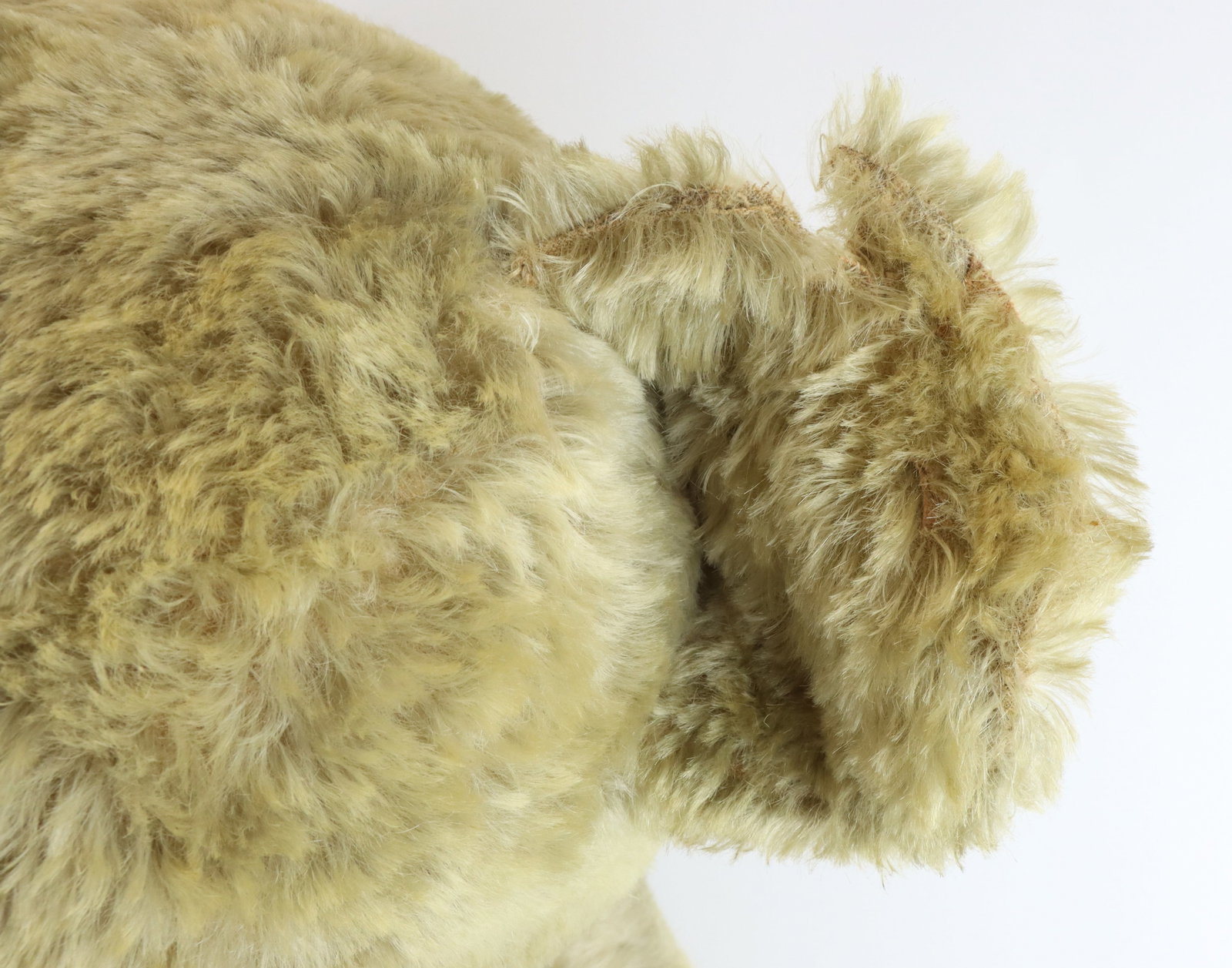 Steiff Teddy Bear - 9