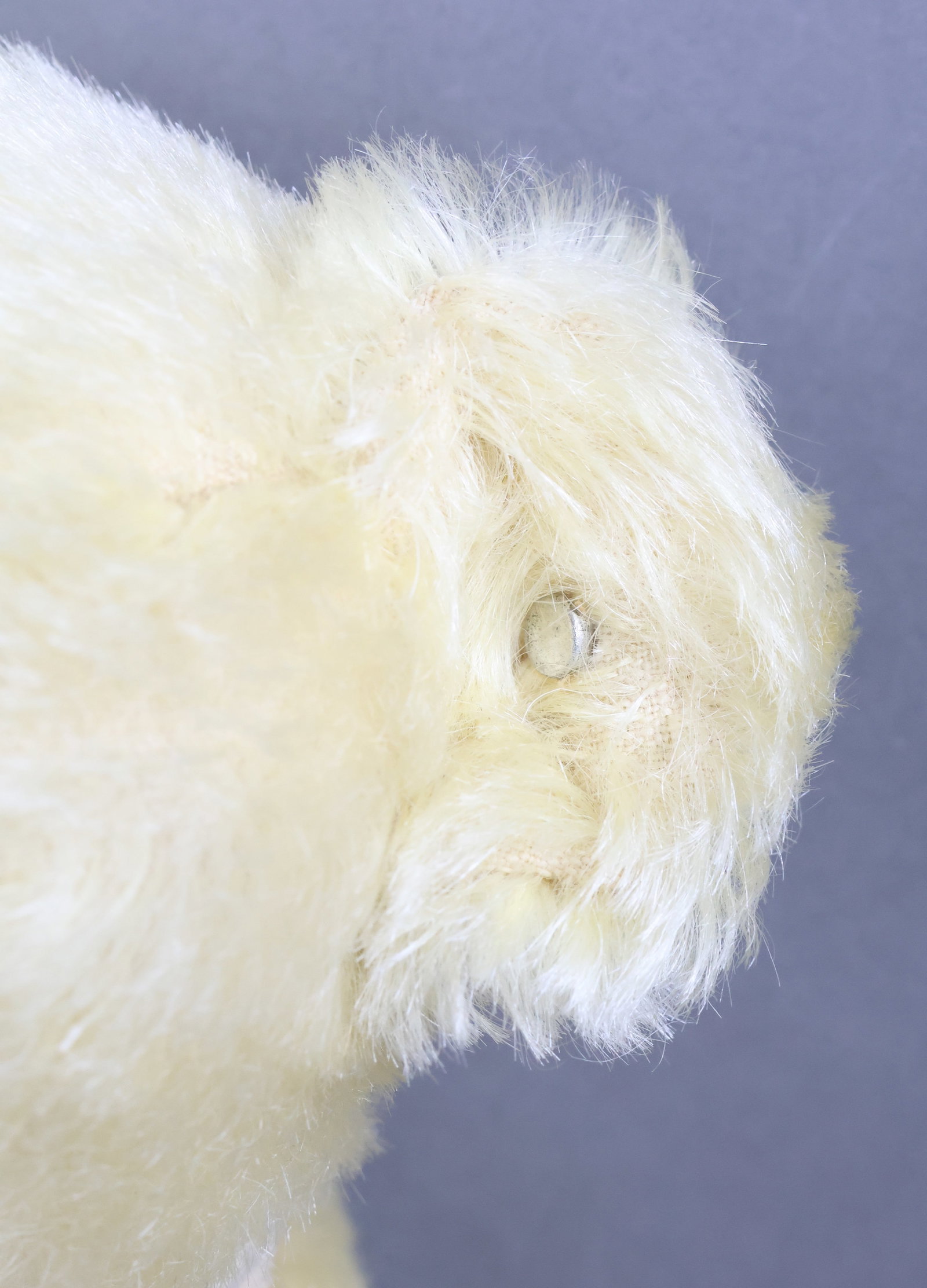 Steiff Teddy Bear - 3