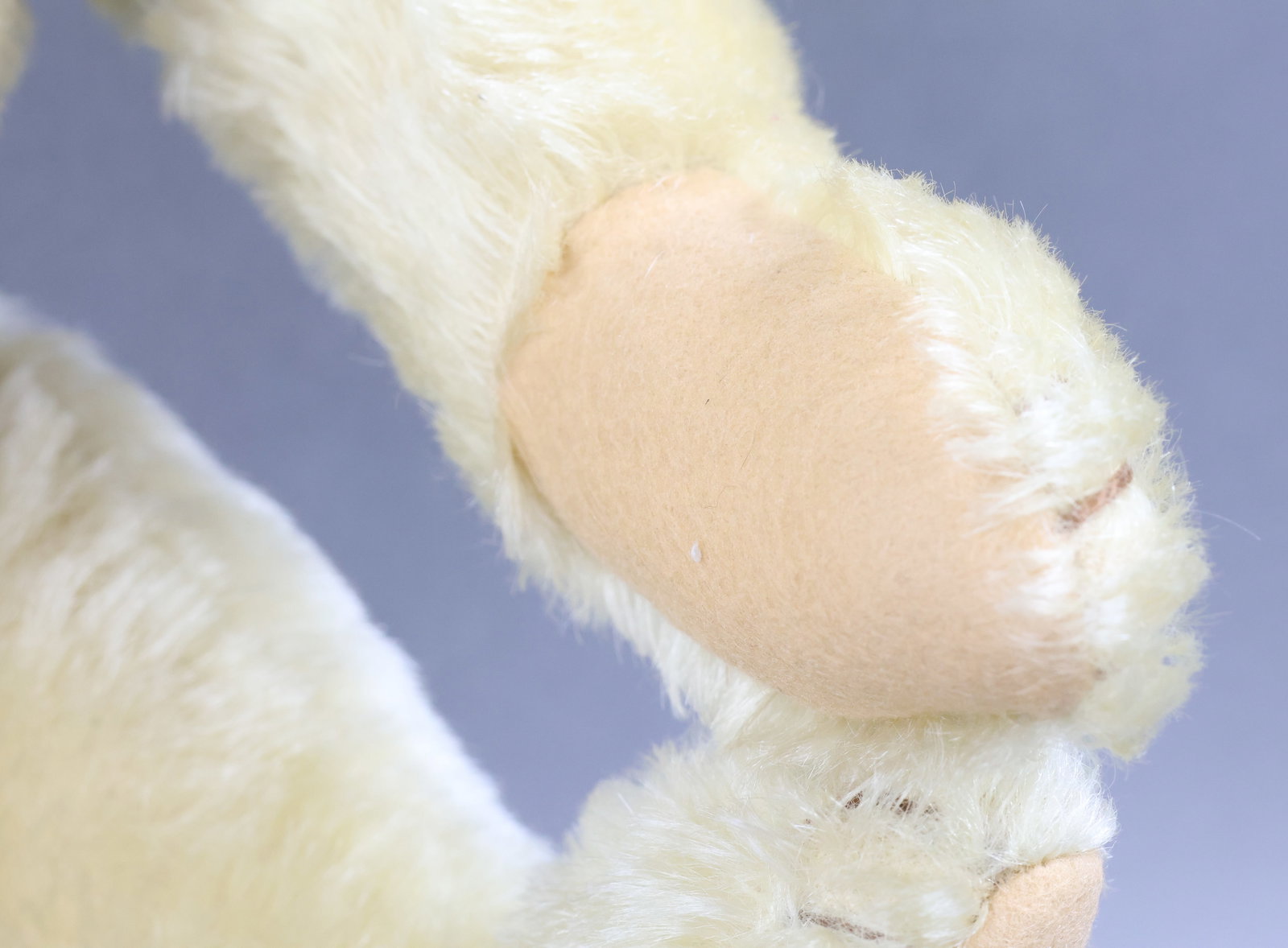 Steiff Teddy Bear - 8