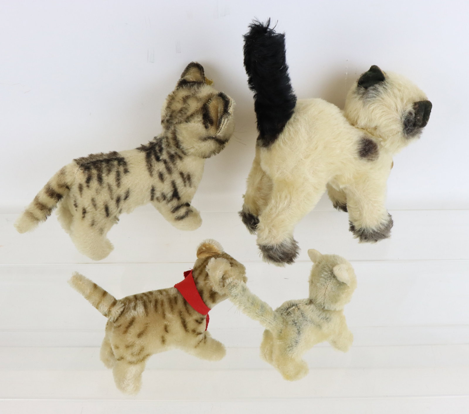 Steiff Cats - 5
