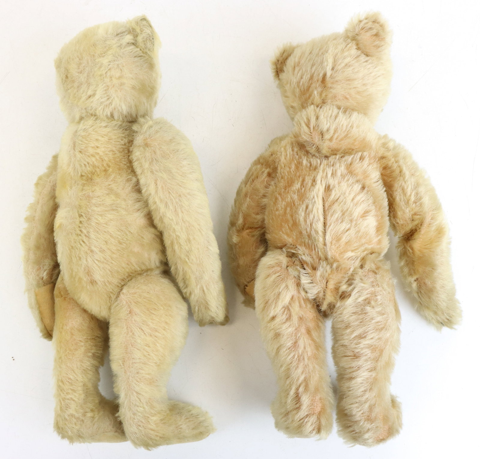 Steiff Teddy Bears - 7