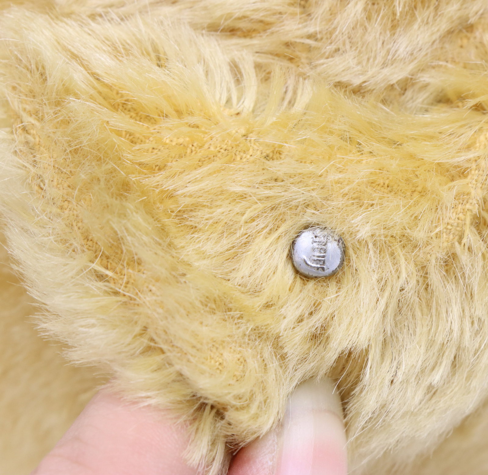 Steiff Teddy Bears - 14