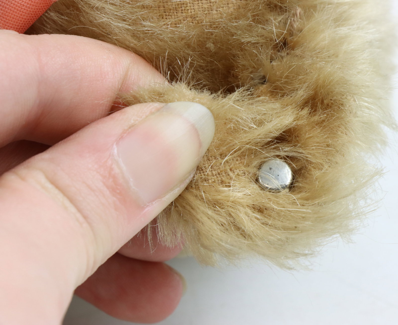 Steiff Teddy Bears - 8