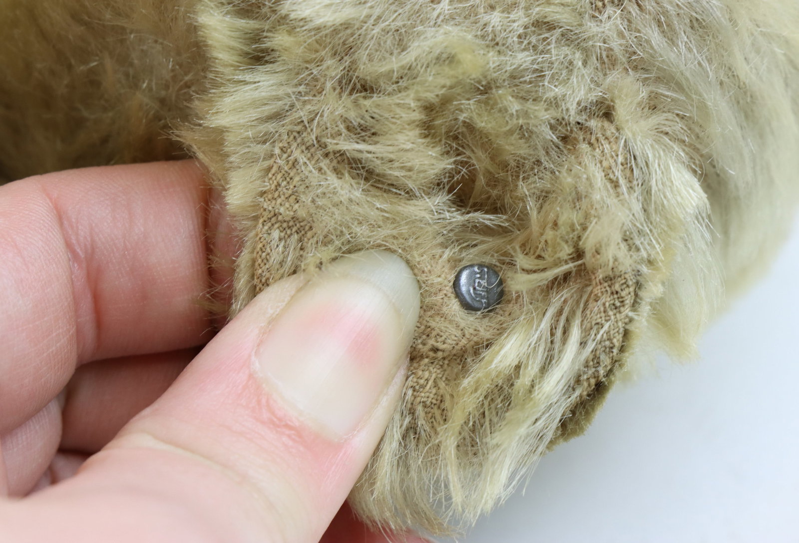 Steiff Teddy Bears - 9