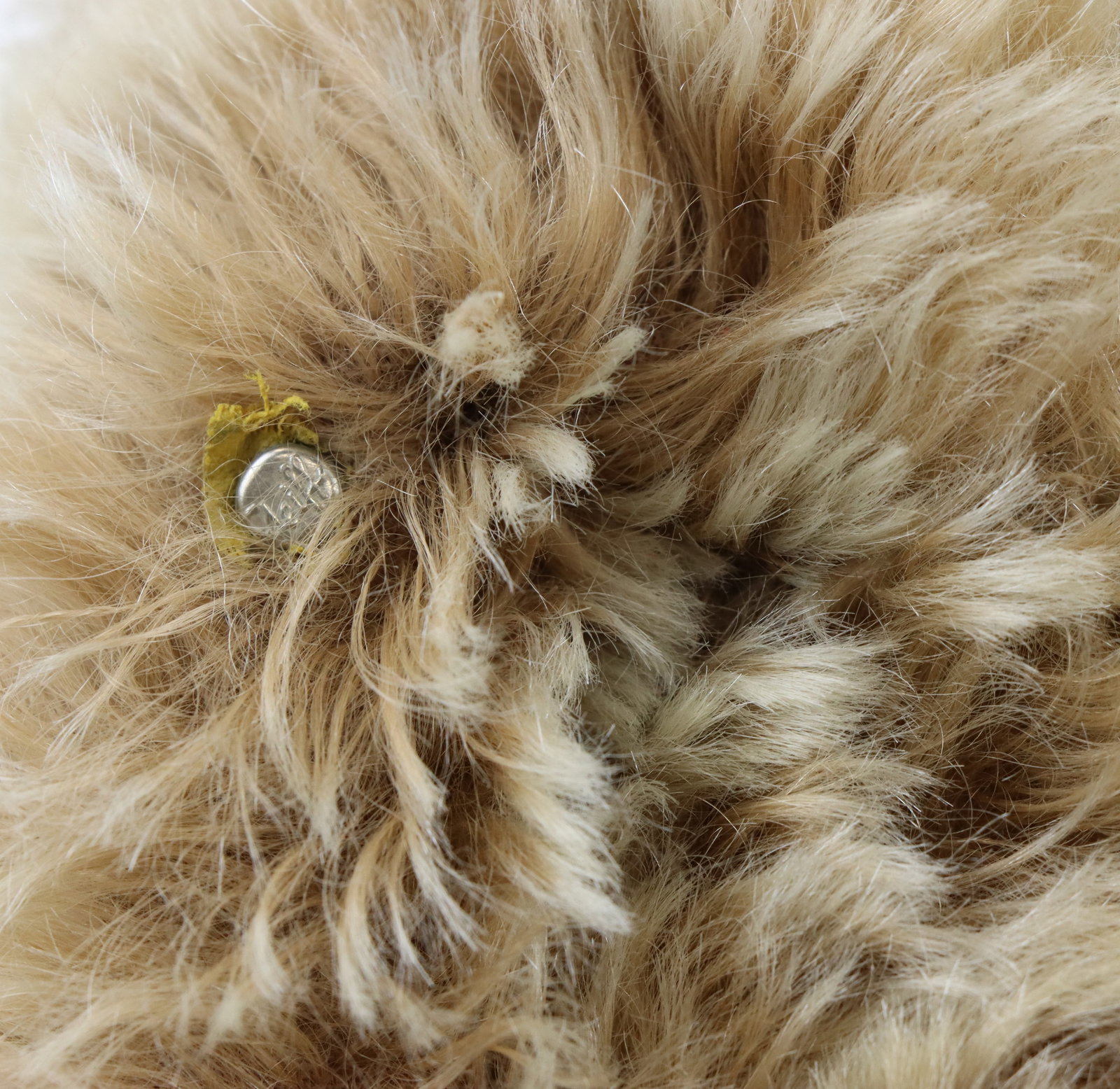 Steiff Teddy Bears - 4