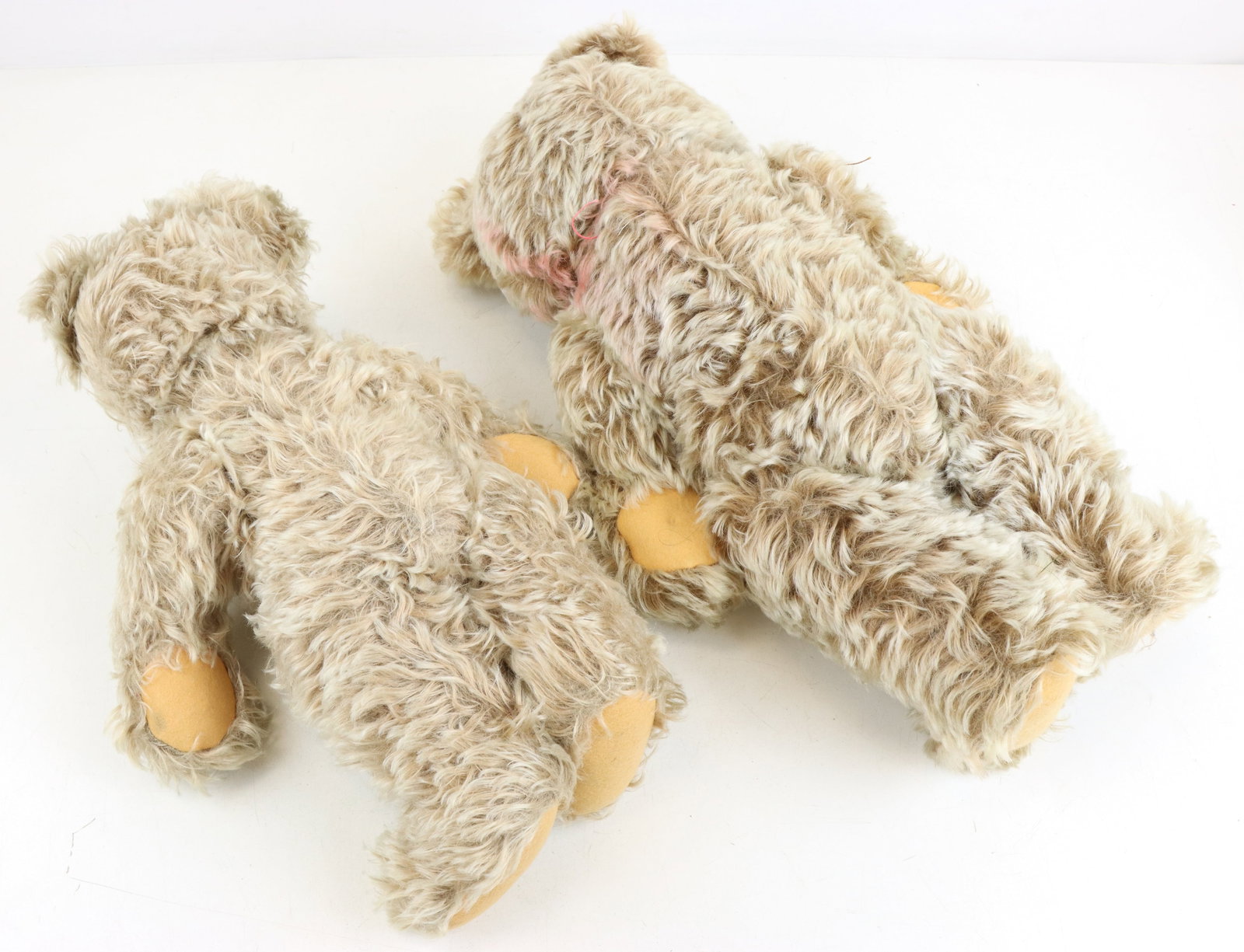 Steiff Teddy Bears - 6