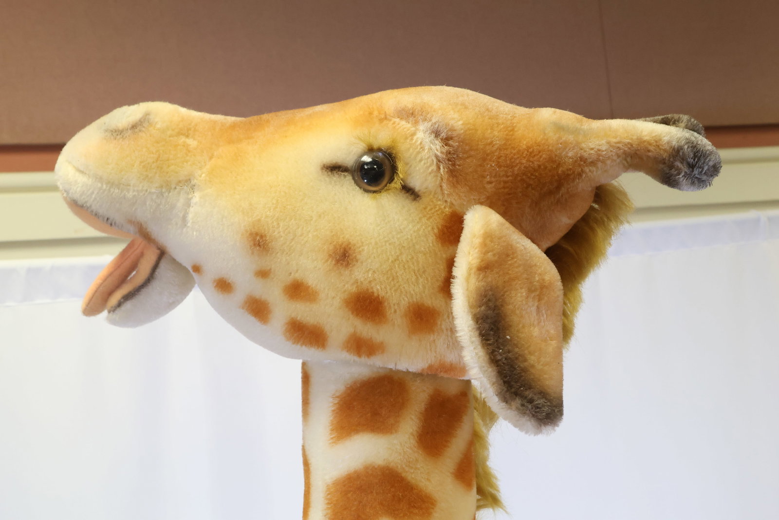 Steiff Studio Giraffe - 3