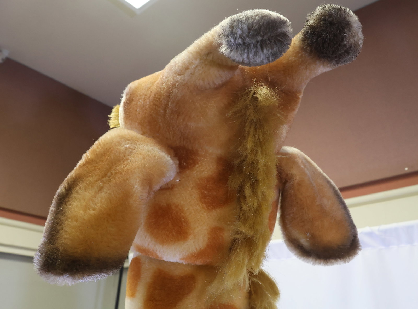 Steiff Studio Giraffe - 6