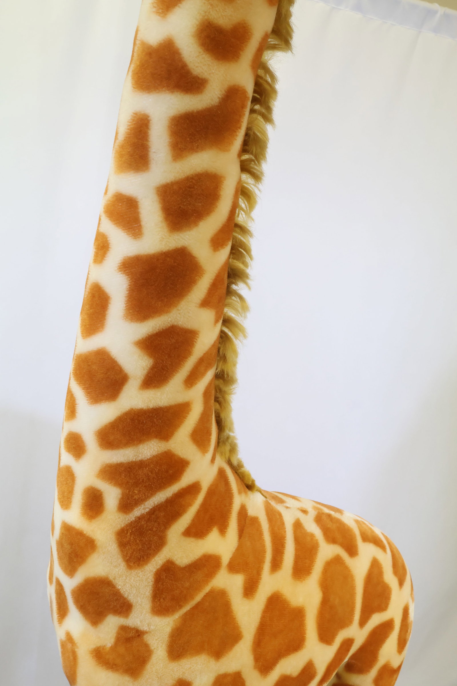 Steiff Studio Giraffe - 9