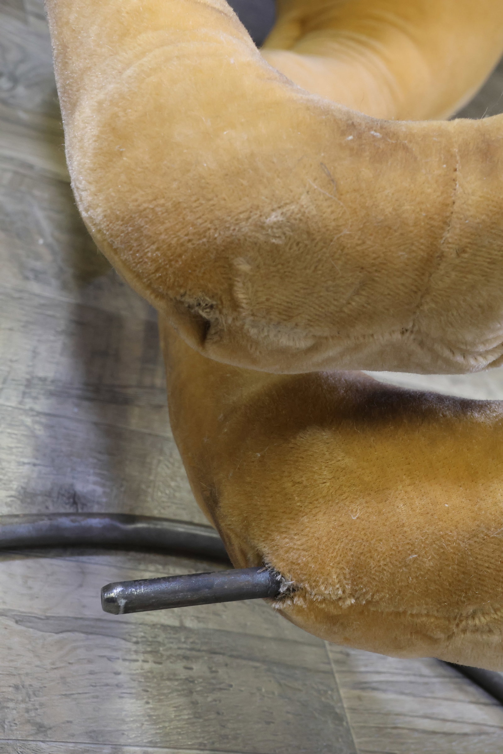 Steiff Studio Ostrich - 12