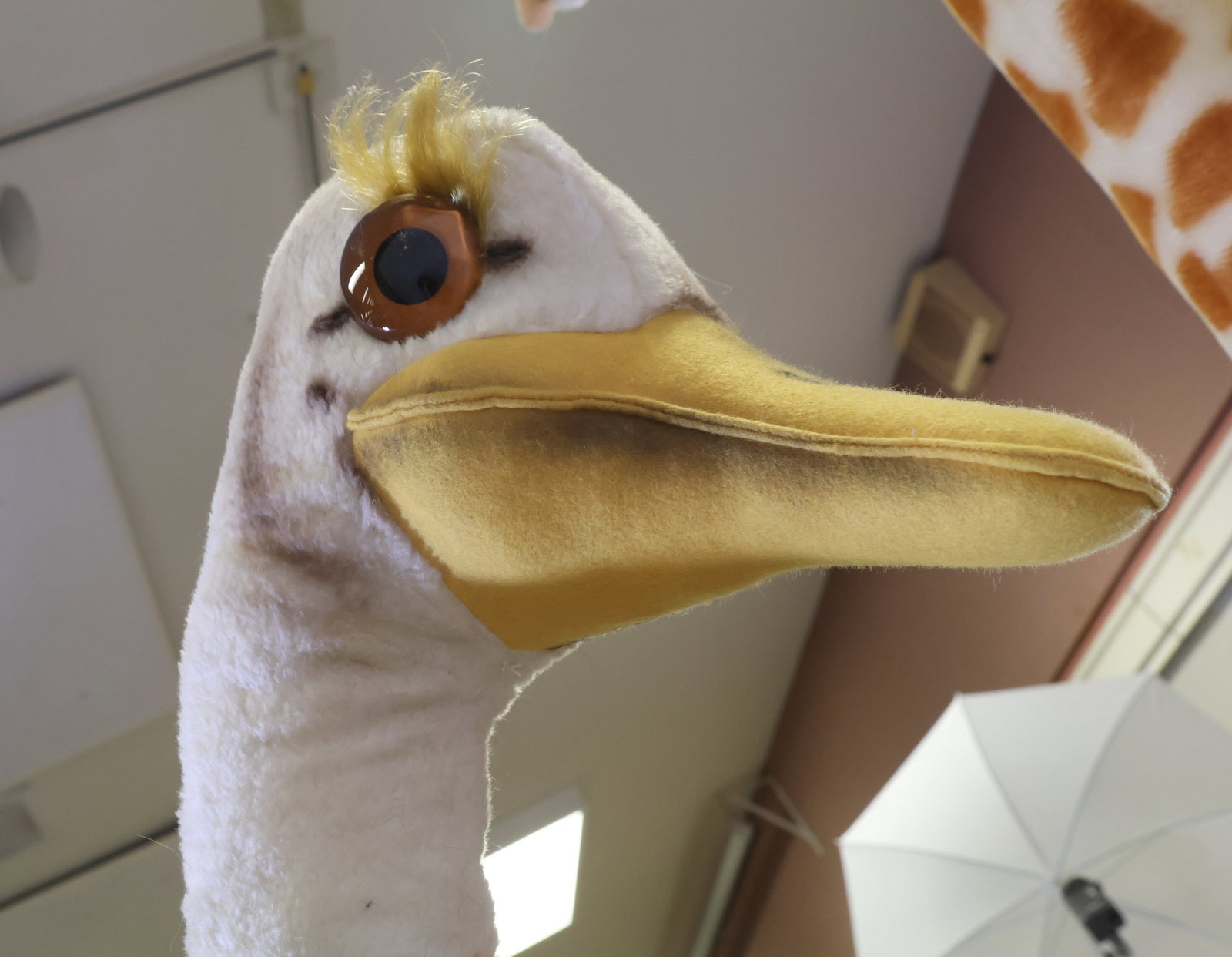 Steiff Studio Ostrich - 5