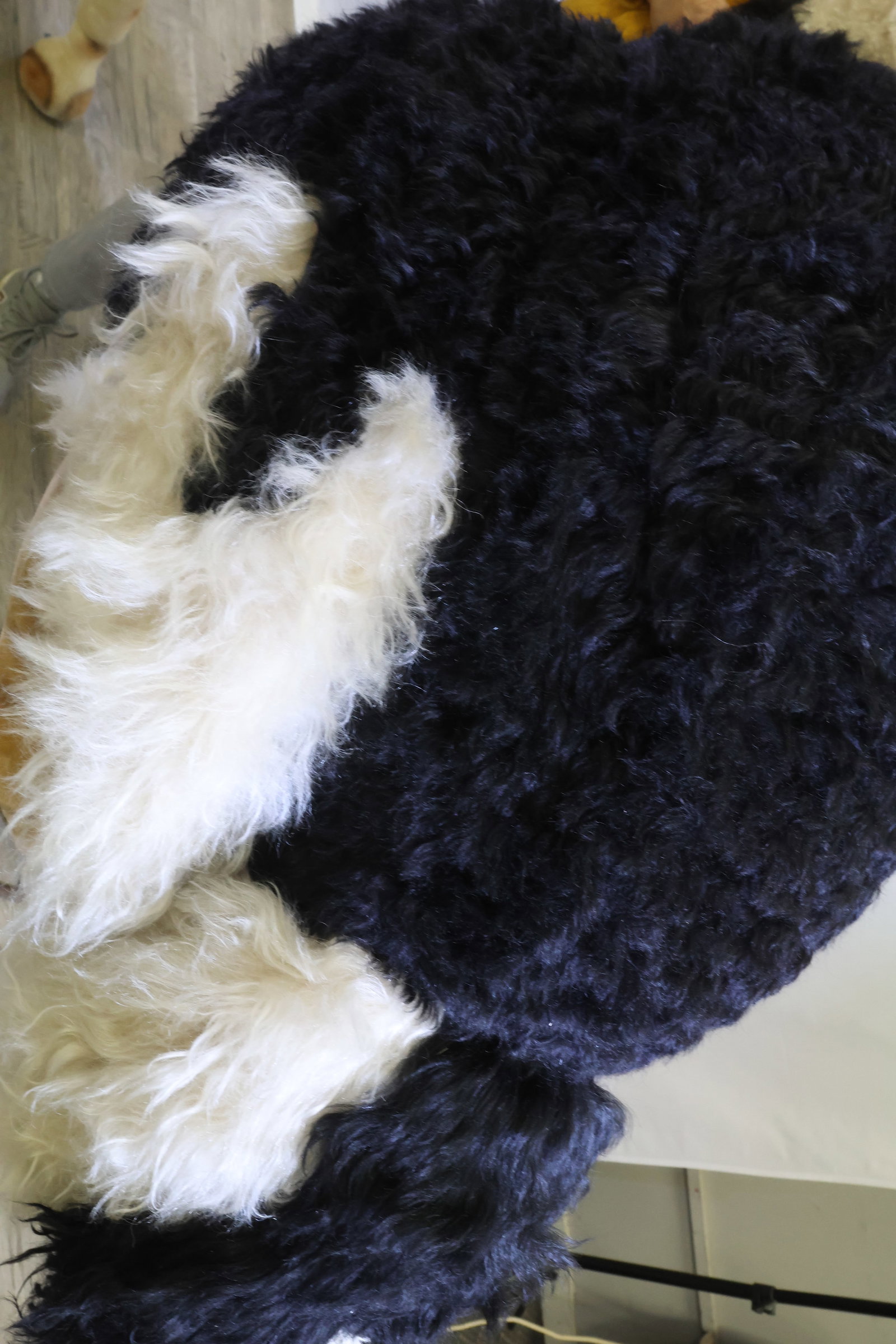 Steiff Studio Ostrich - 7