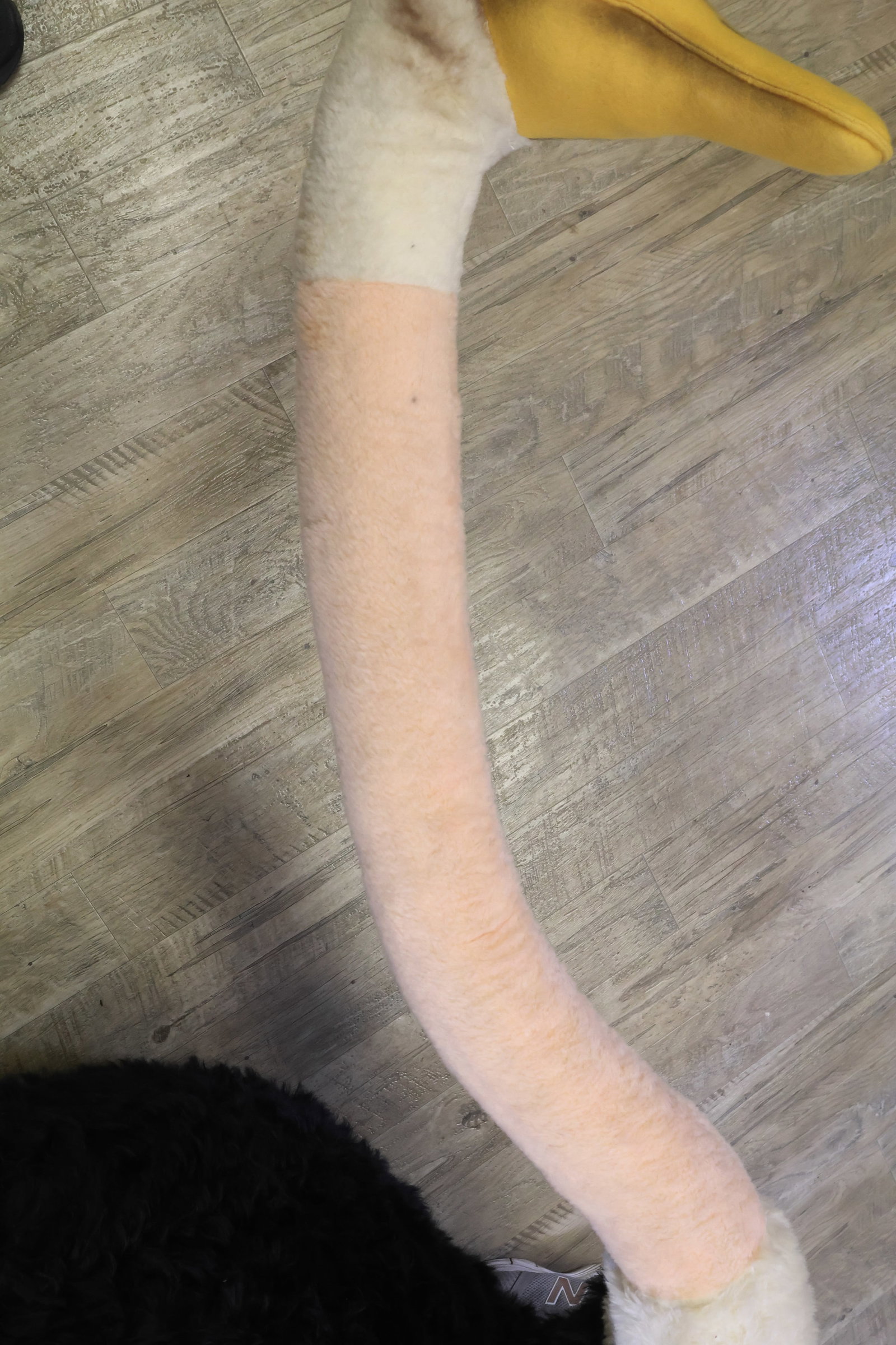 Steiff Studio Ostrich - 8