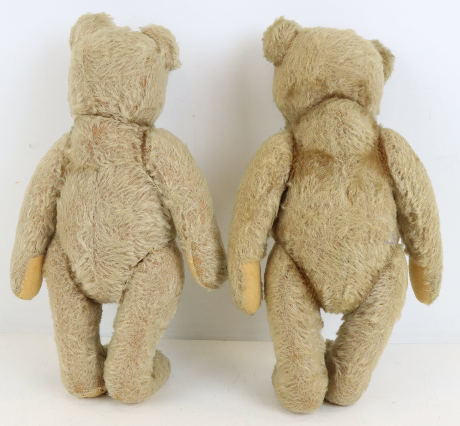 Steiff Teddy Bears - 6