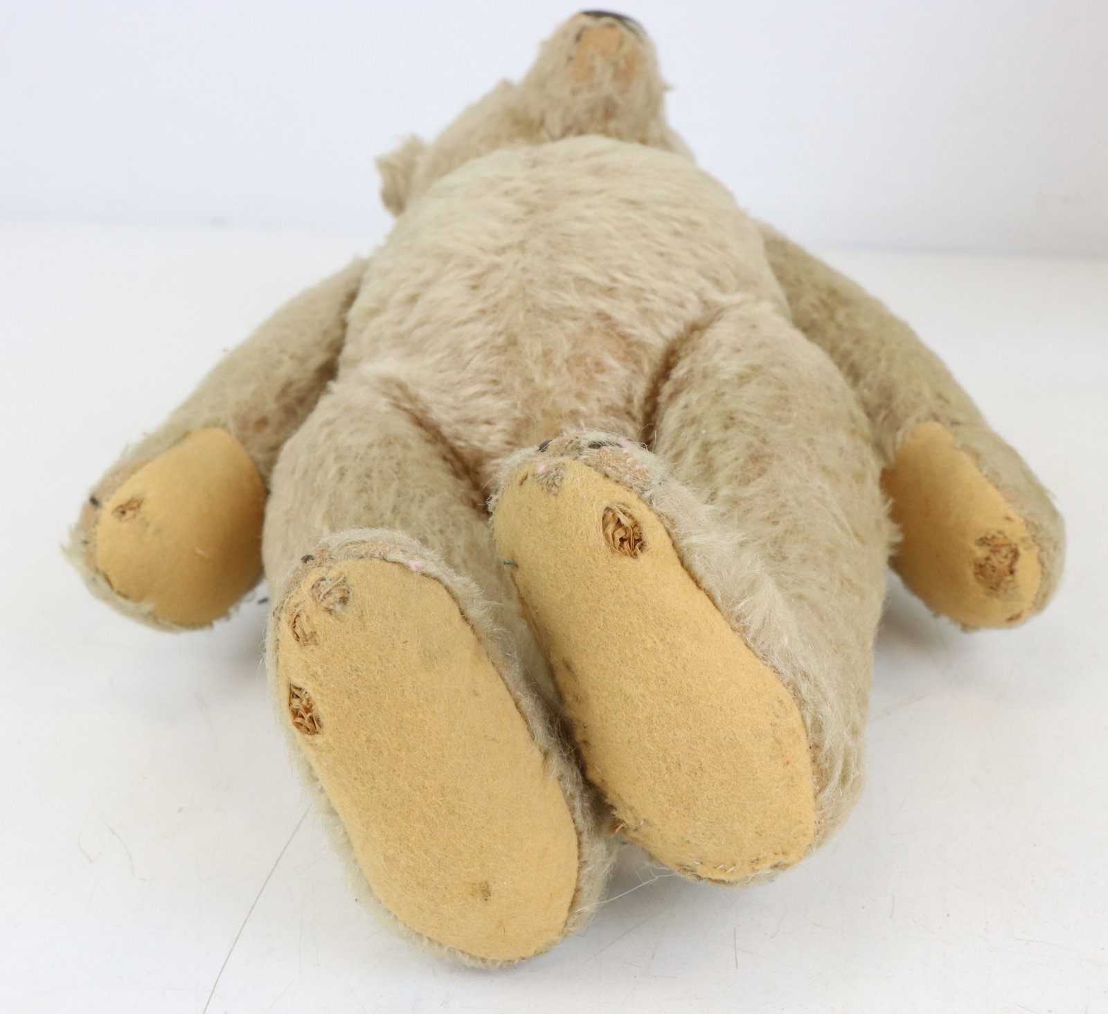 Steiff Teddy Bears - 7