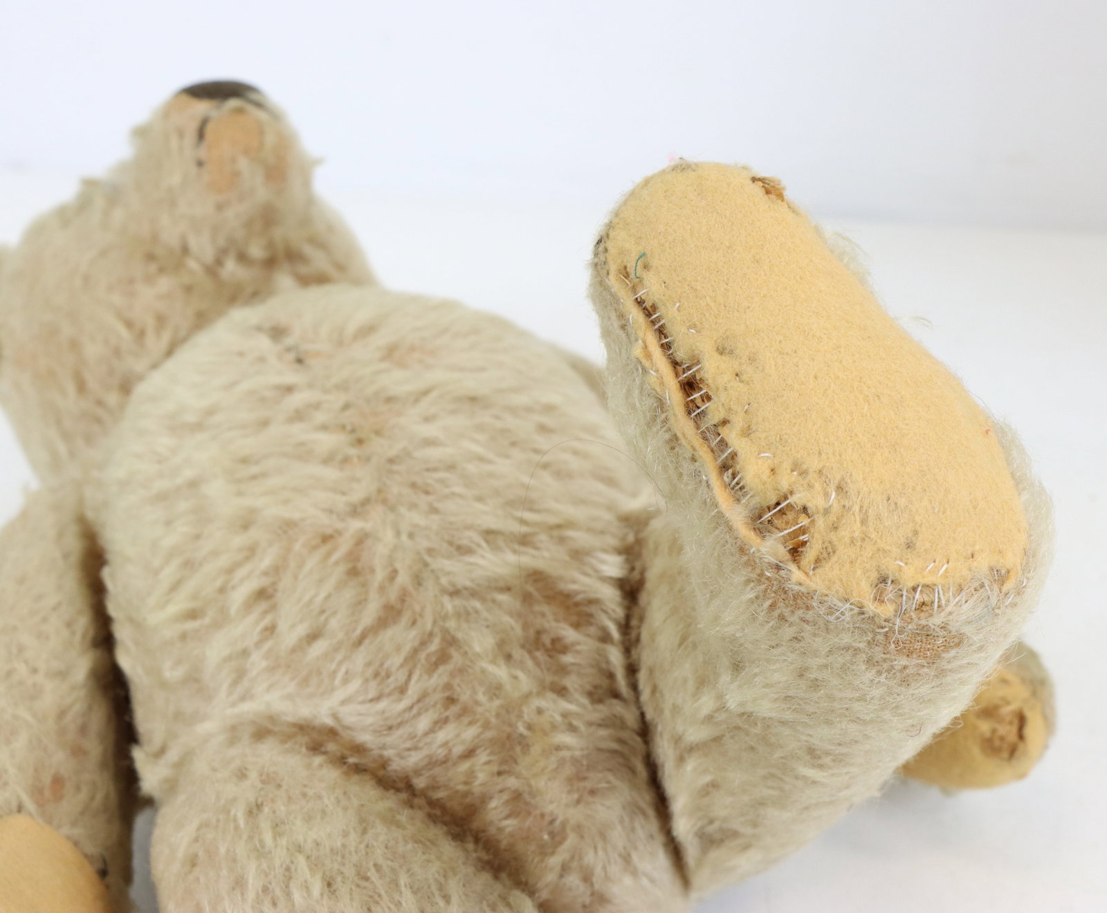 Steiff Teddy Bears - 8