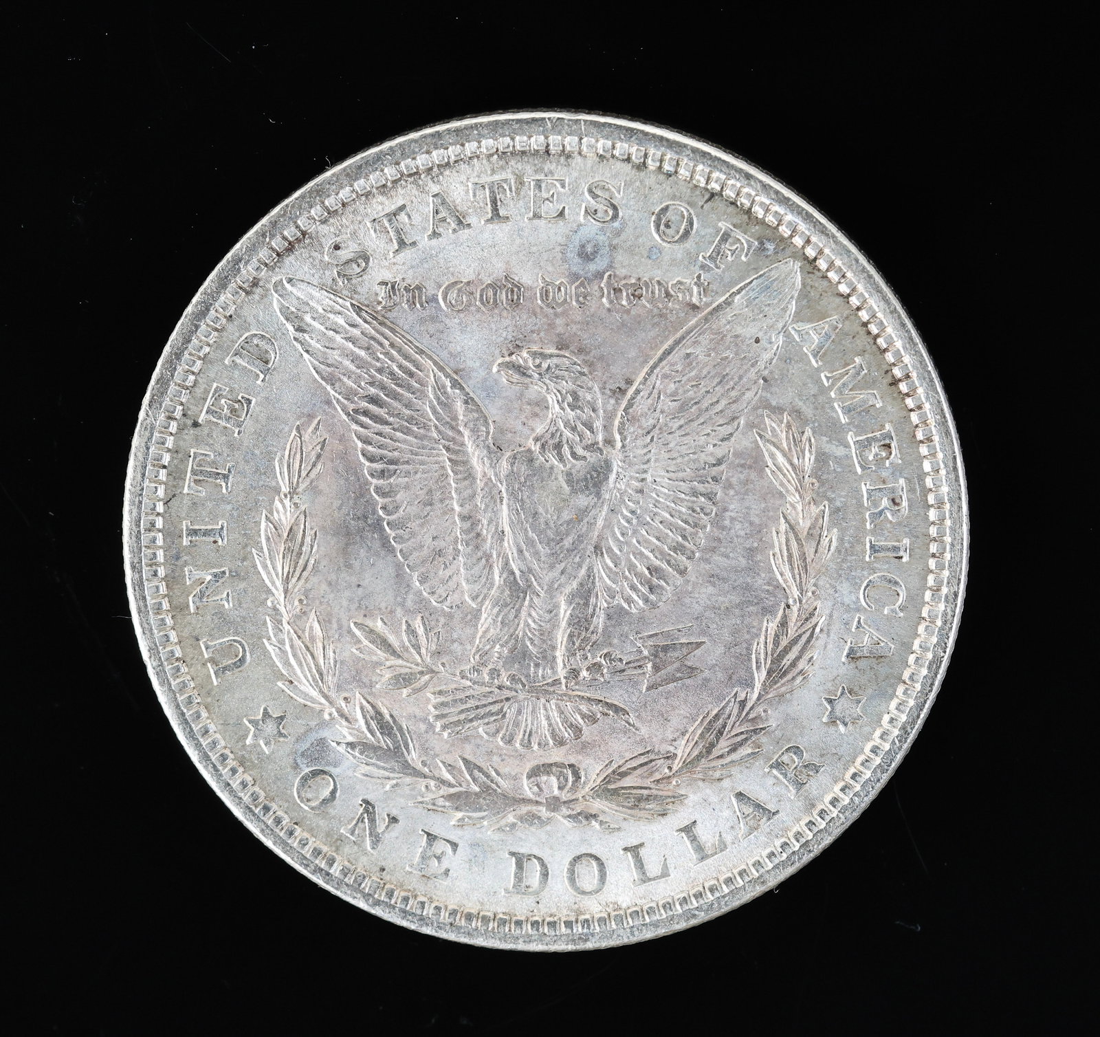 Morgan Silver Dollars - 12