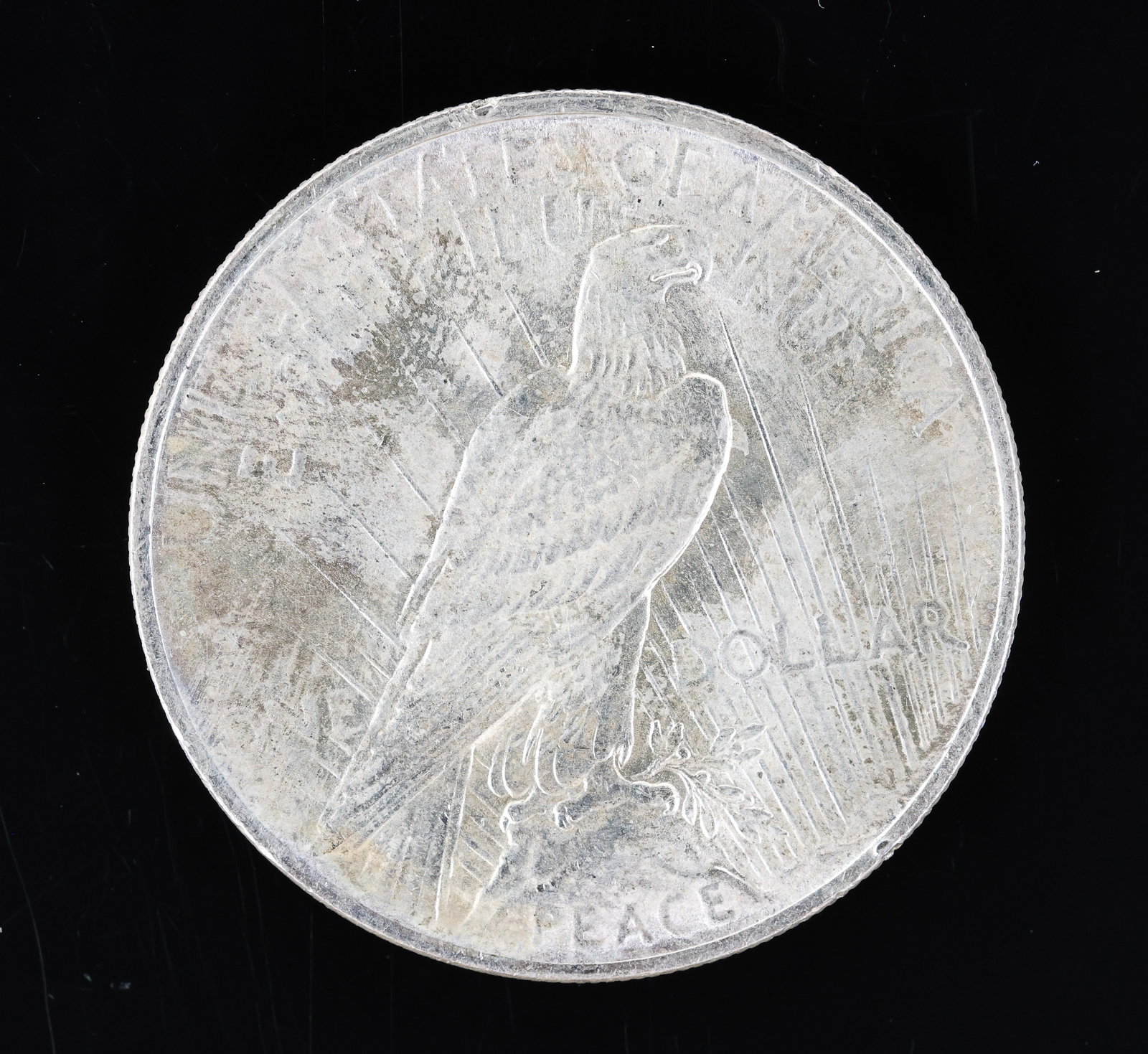 Peace Silver Dollars - 12