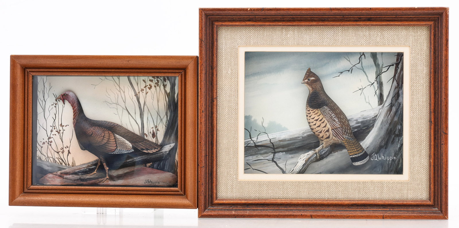 Joseph Quinn Whipple (1917 - 2008): Mixed media reliefs of birds, painted raised plaster on a painted background, including "Wild Turkey", numbered 2/63, and "Ruffed Grouse", unnumbered, both SLR, and mounted in shadowboxes. (2)