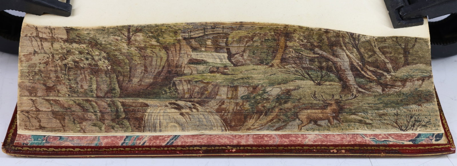 Nineteenth Century Book With Fore-Edge Painting: Book titled "The Lady of the Lake, A Poem" by Walter Scott, 9th edition, Edinburgh, printed for John Ballantyne & Co., Edinburgh, 1811. Book is octavo in size and presents Moroccan leather binding. Bo