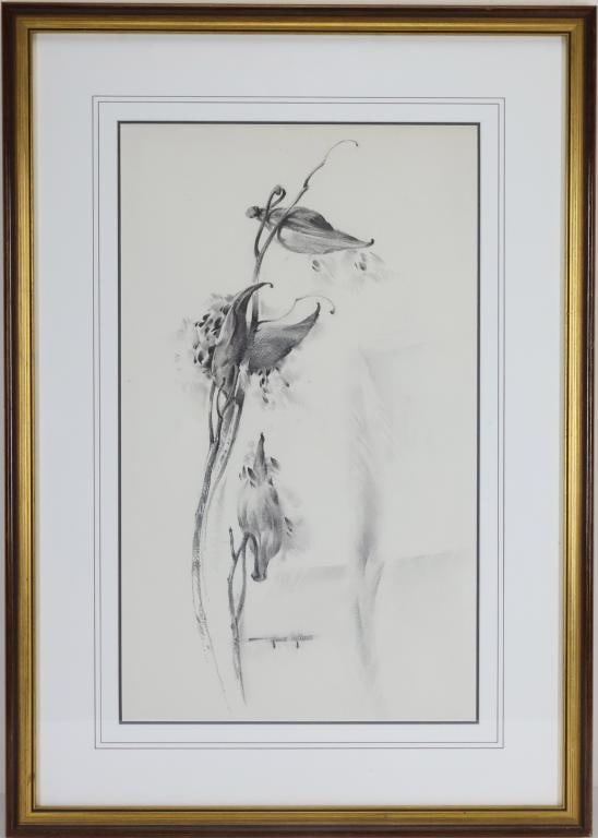 Arthur Meltzer (1893-1989): Charcoal, SLC. Minimalist botanical study with drooping seed pods and stems. 19"h x 11.5"w sight and 27"h x 19"w framed