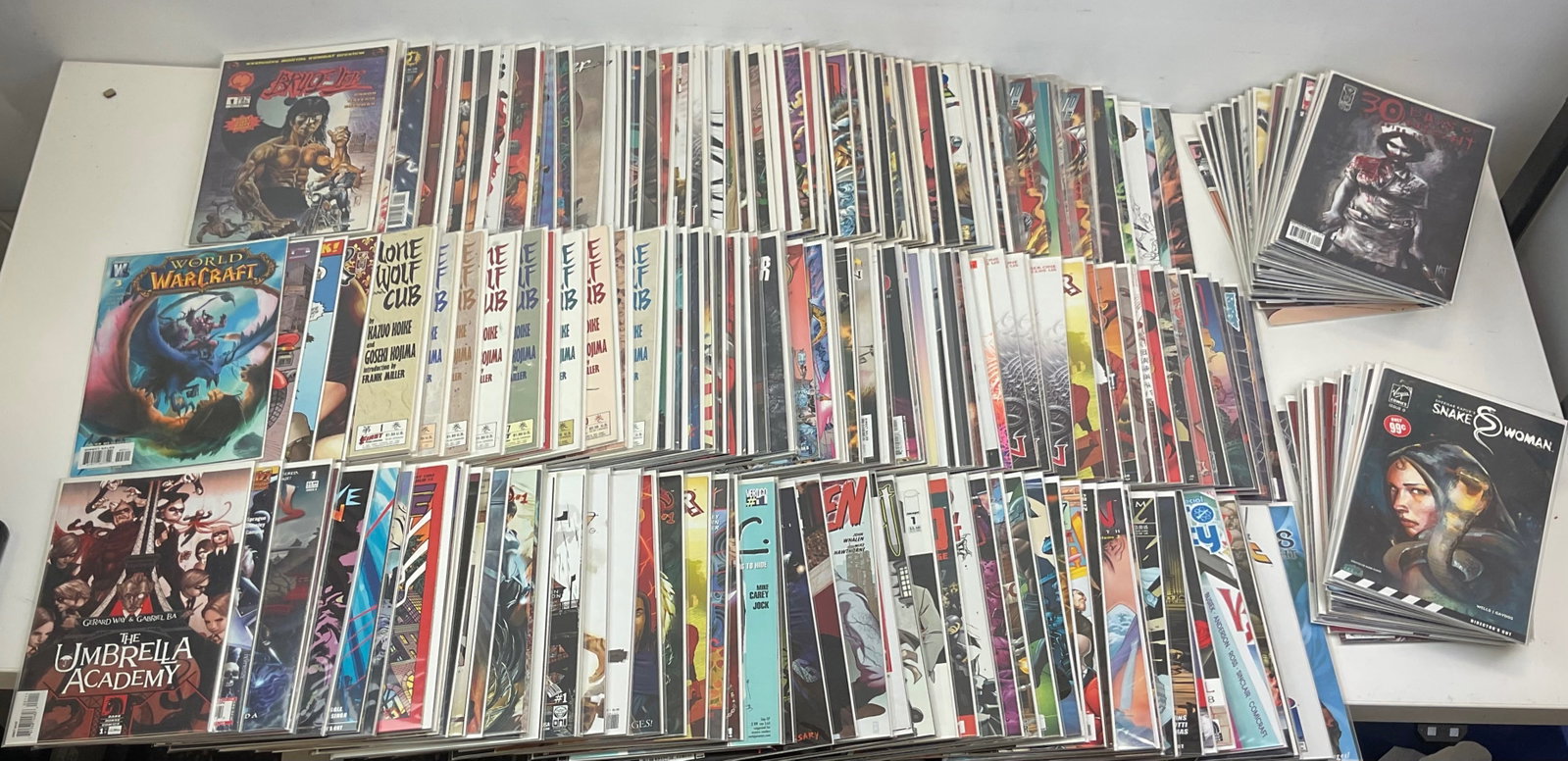 Independent Comics Grab Bag: Independent comics Grab bag (approx. 235 Comics). Assorted titles including Umbrella Academy, World of Warcraft, 30 Days of Night, Bruce Lee, Lone Wolf and Cub, Loveless #1, Book of Souls, Amazon #1,
