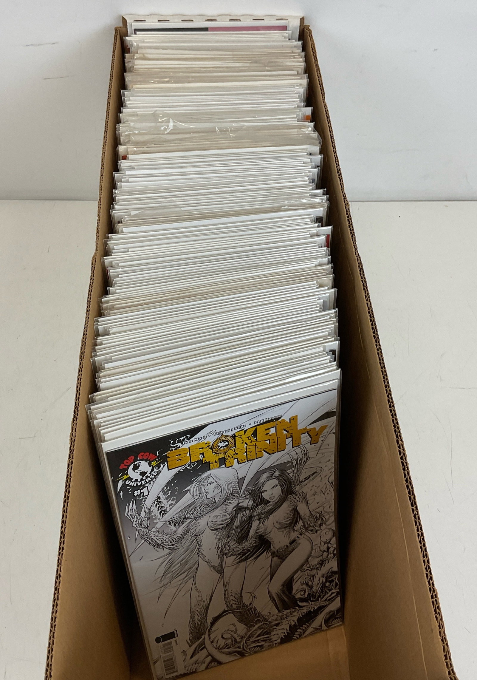 Mixed Publisher Grab Bag: Broken Trinity #1. World of Warcraft #1. Supernatural #1, #2, #3, #4. Supernatural Origins. Tarot Witch of the Black Rose #50, #51. Monster Pile-Up. War Heroes. Conan the Cimmerian. The Umbrella