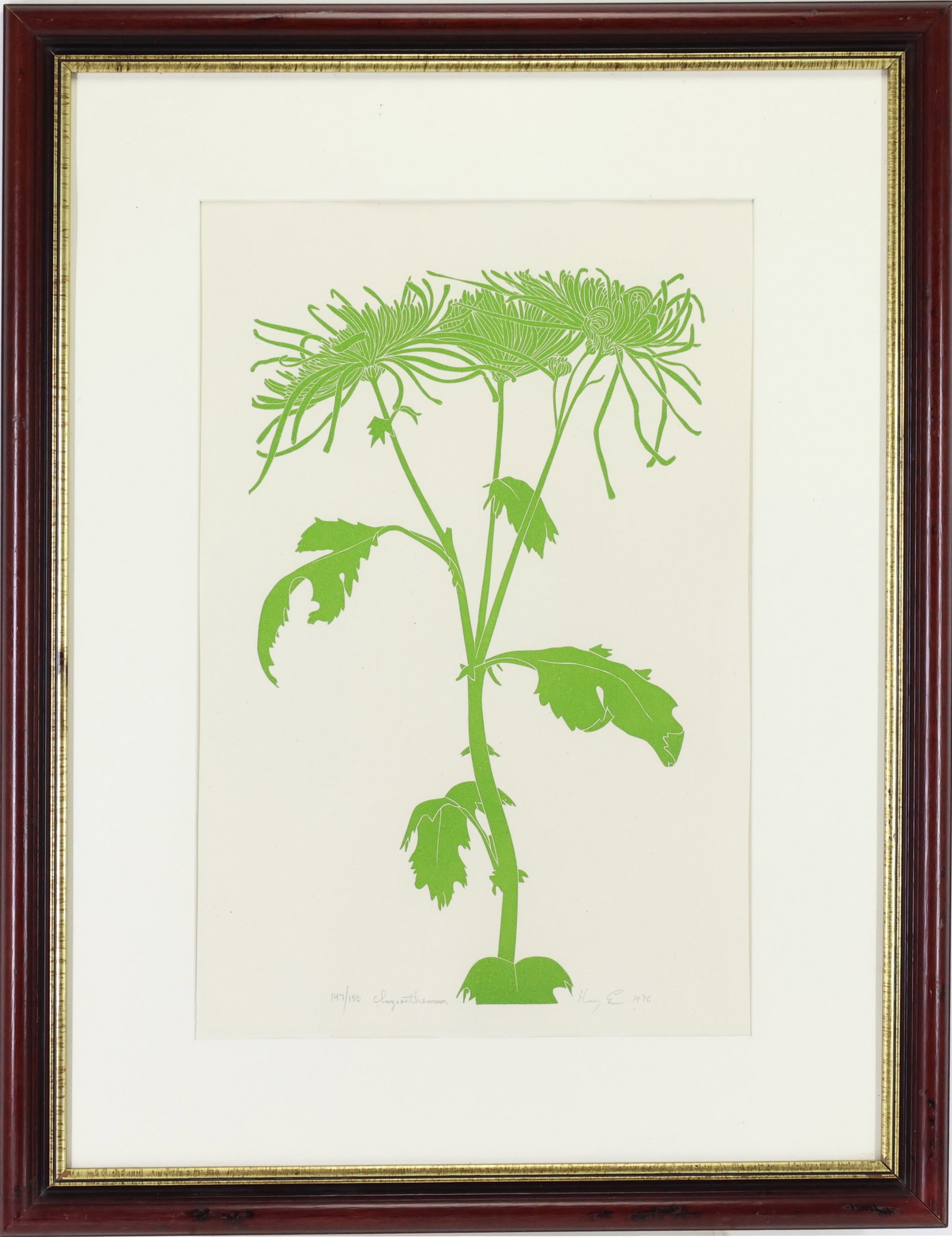 Henry Evans (1918-1990): Linocut "Chrysanthemum", SDLR 1976 and numbered 147/180. Monochromatic botanical print of a stem with three flowers and leaves. 18"h x 12"w sight and 26.5"h x 20.5"w framed