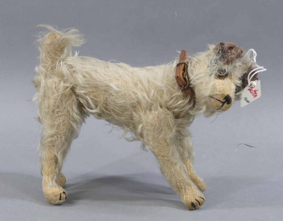 VINTAGE STEIFF.: This is a Museum Deaccession lot. 7" T x 10 1/2" L. tagged "Caesar EV 1910" Wire Hair Terrier Dog with swivel neck, glass eyes. White mohair with brown mohair ears. Silver raised button with second