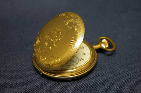Pocket Watch.: Elgin National Watch Co., movement #19866497, 15 jewels, numbered dial, case 20 year warranted Dueber #8386714.