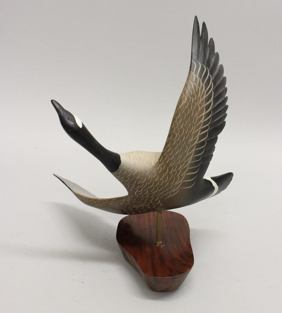 Flying Canada Goose- Bill Schauber (1 of 3)