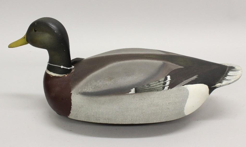 Drake Mallard- Ken Harris (1 of 3)