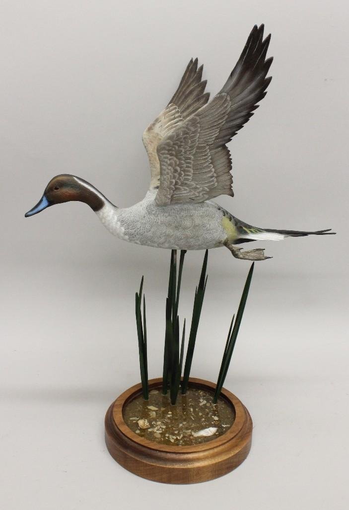 Flying Drake Pintail on Marsh Scene Base- Frank (1 of 3)