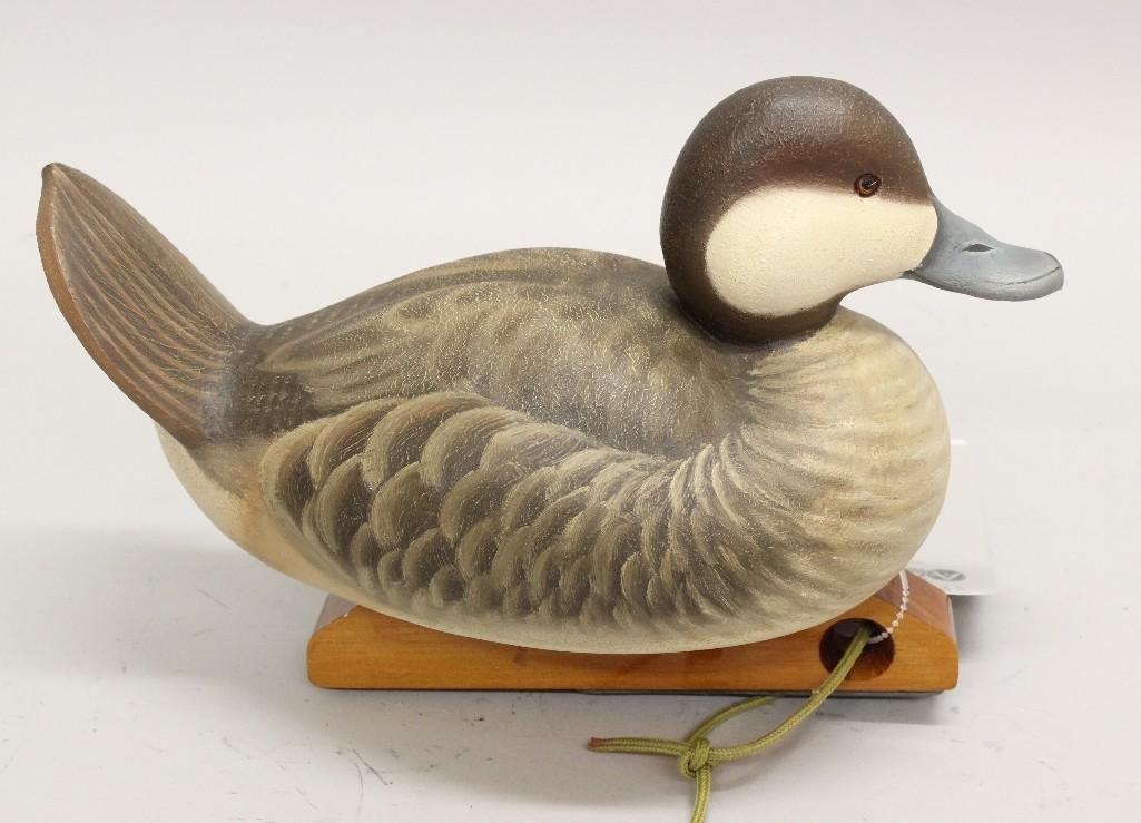 Drake Ruddy Duck - Ben Heinemann (1 of 3)
