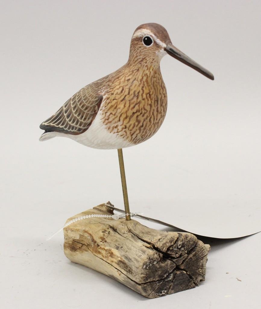 Pectoral Sandpiper- Dave Rhodes (1 of 4)