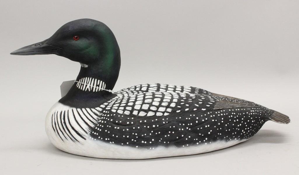 Common Loon- Frank J. Sherber (1 of 3)