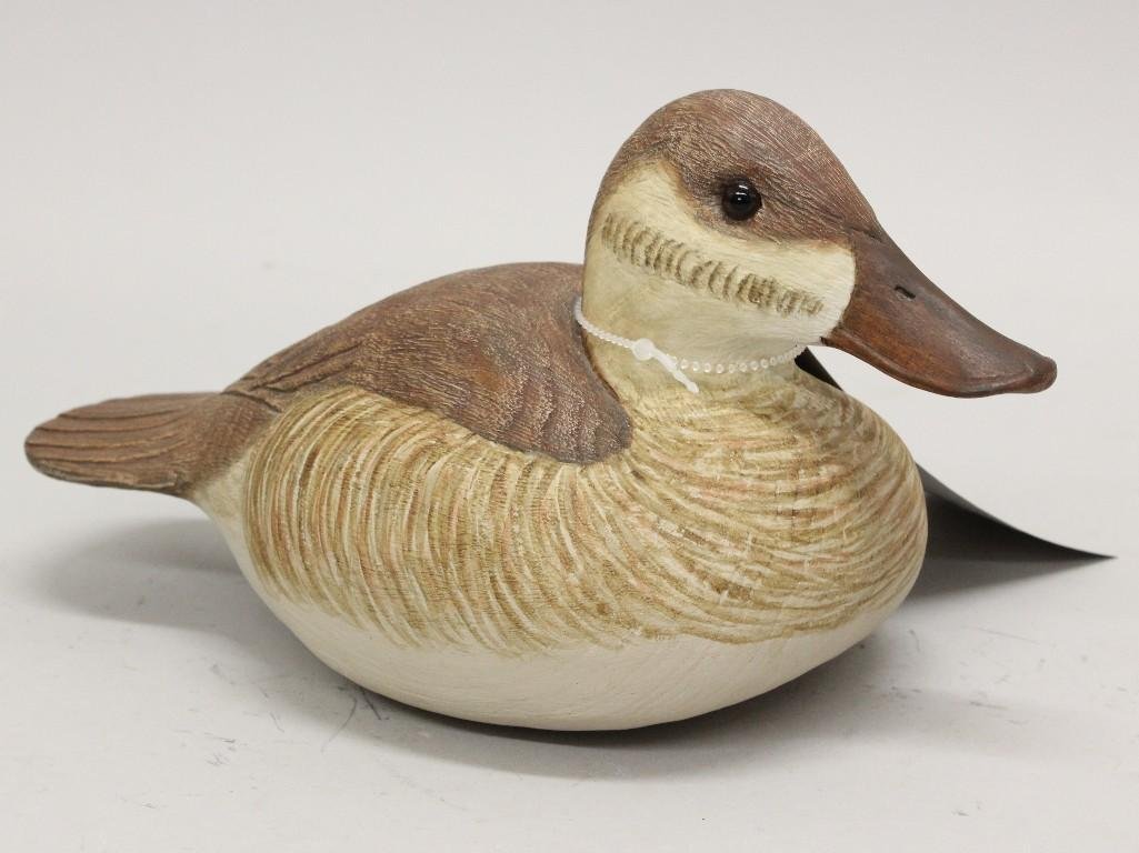 Hen Ruddy Duck (1 of 3)