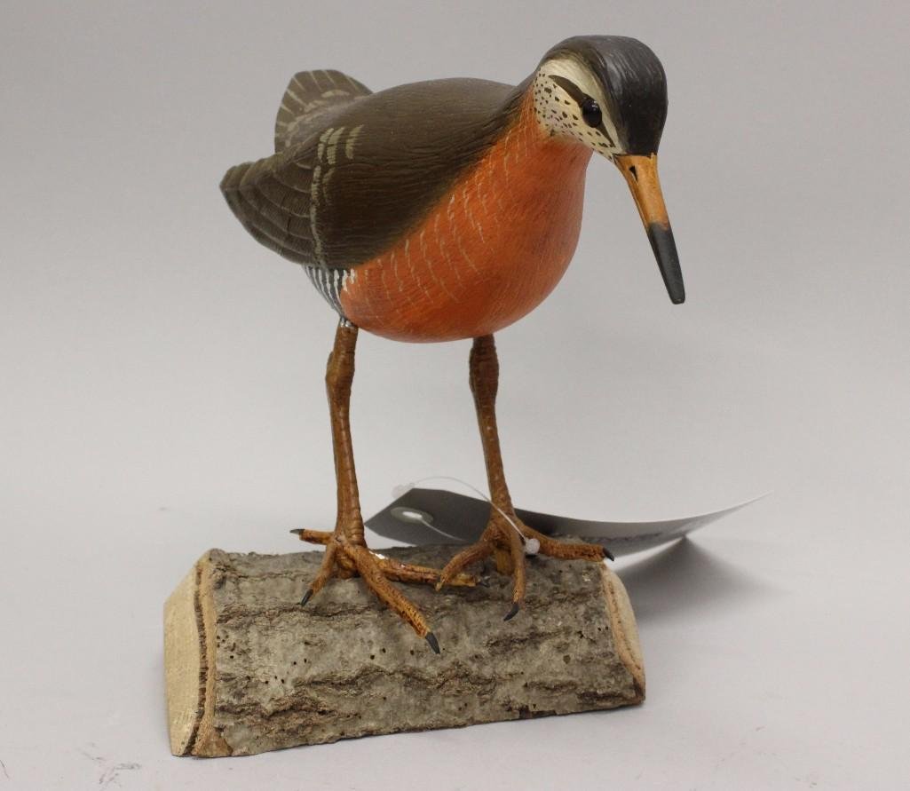 Shorebird-Renieri (1 of 3)