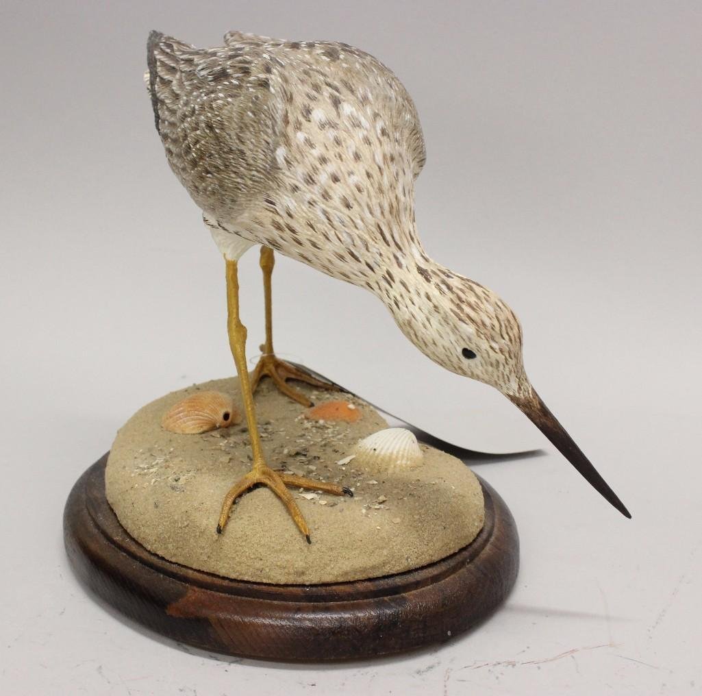 Yellowlegs shorebird- John Kouchinksy (1 of 3)