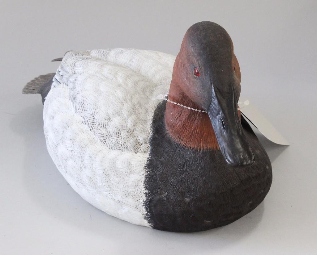 Canvasback drake - Robert A. Wilson (1 of 3)