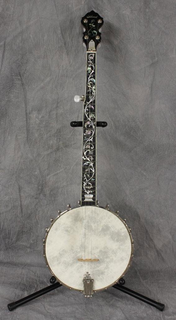 Wildwood 5-string banjo (1 of 7)