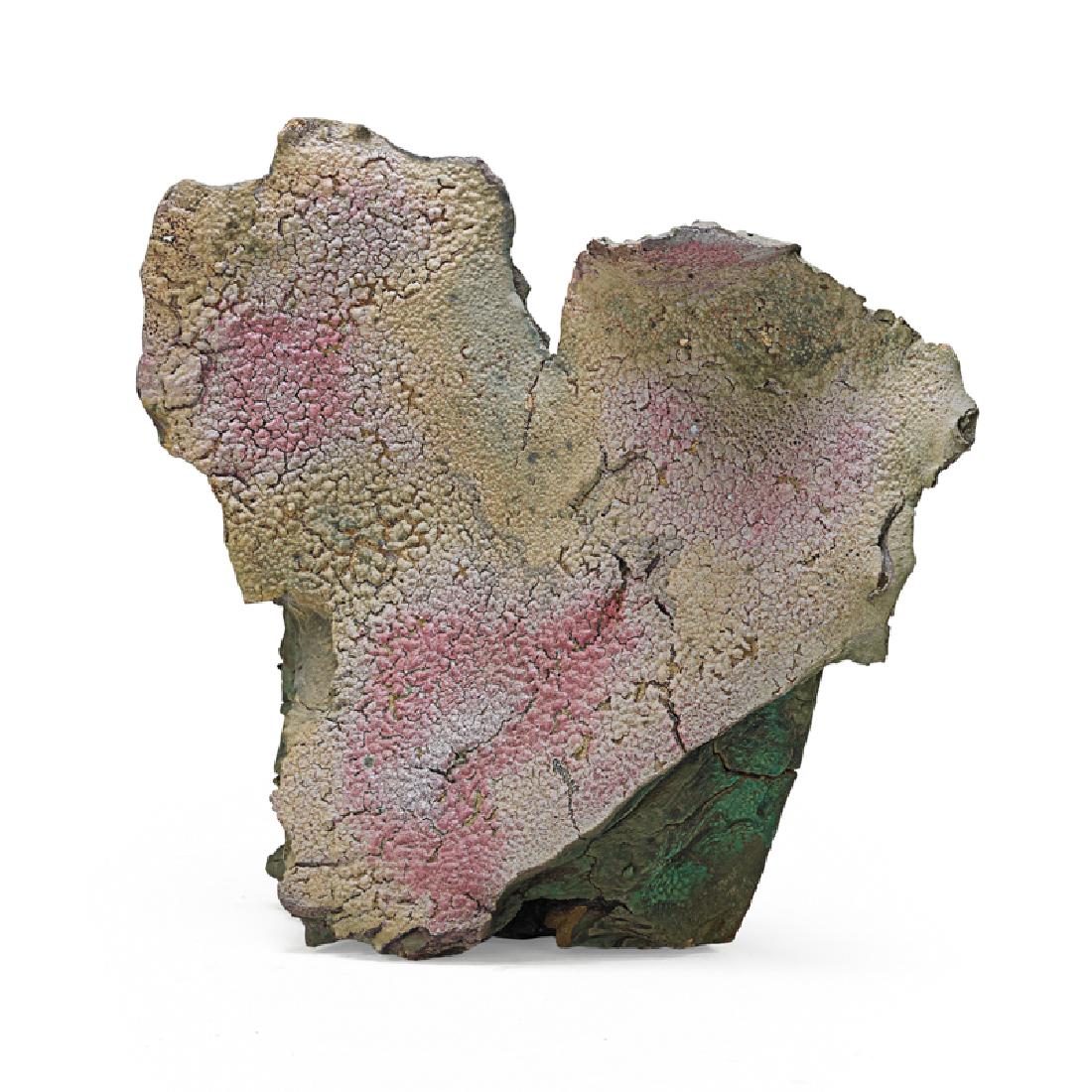 STEVE TOBIN (1 of 3)