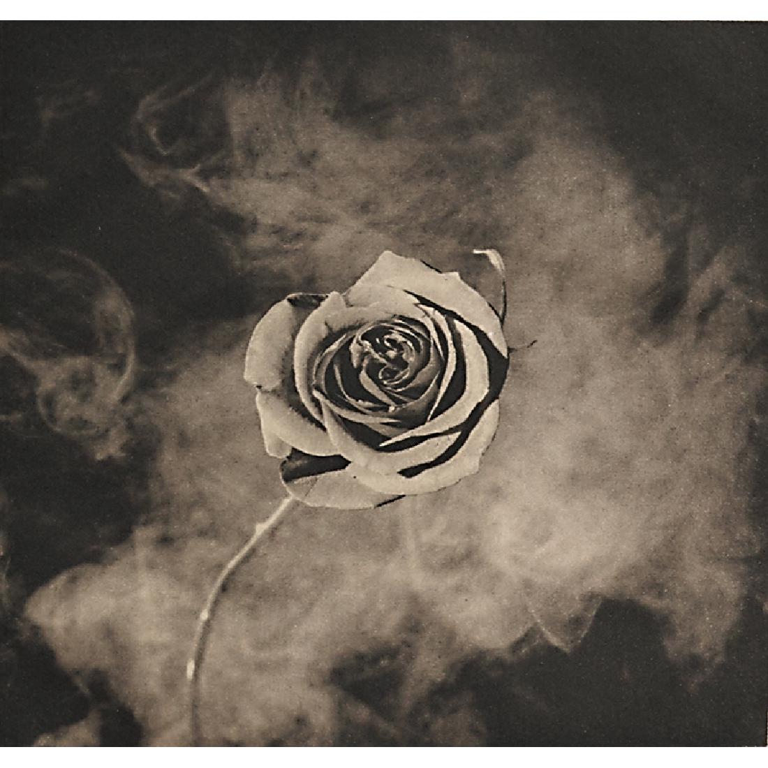 Robert Mapplethorpe (American, 1946-1989) (1 of 5)