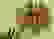 item-53425637=3