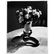 André Kertész (American/Hungarian, 1894-1985)