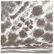 Artsounds Collection Deluxe Edition - 11